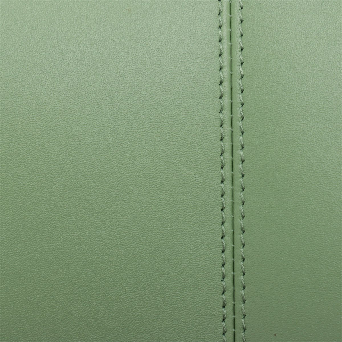 Premium Gucci Petite GG Small Tote Bag Light Green
