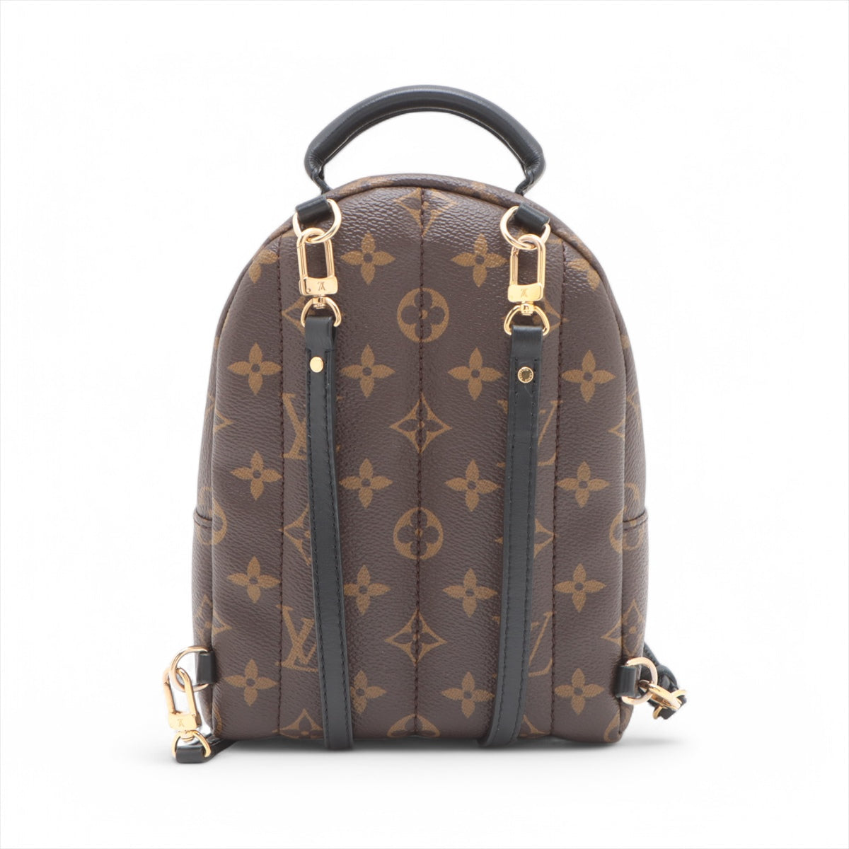 #1 Louis Vuitton Monogram Palm Springs Mini Backpack