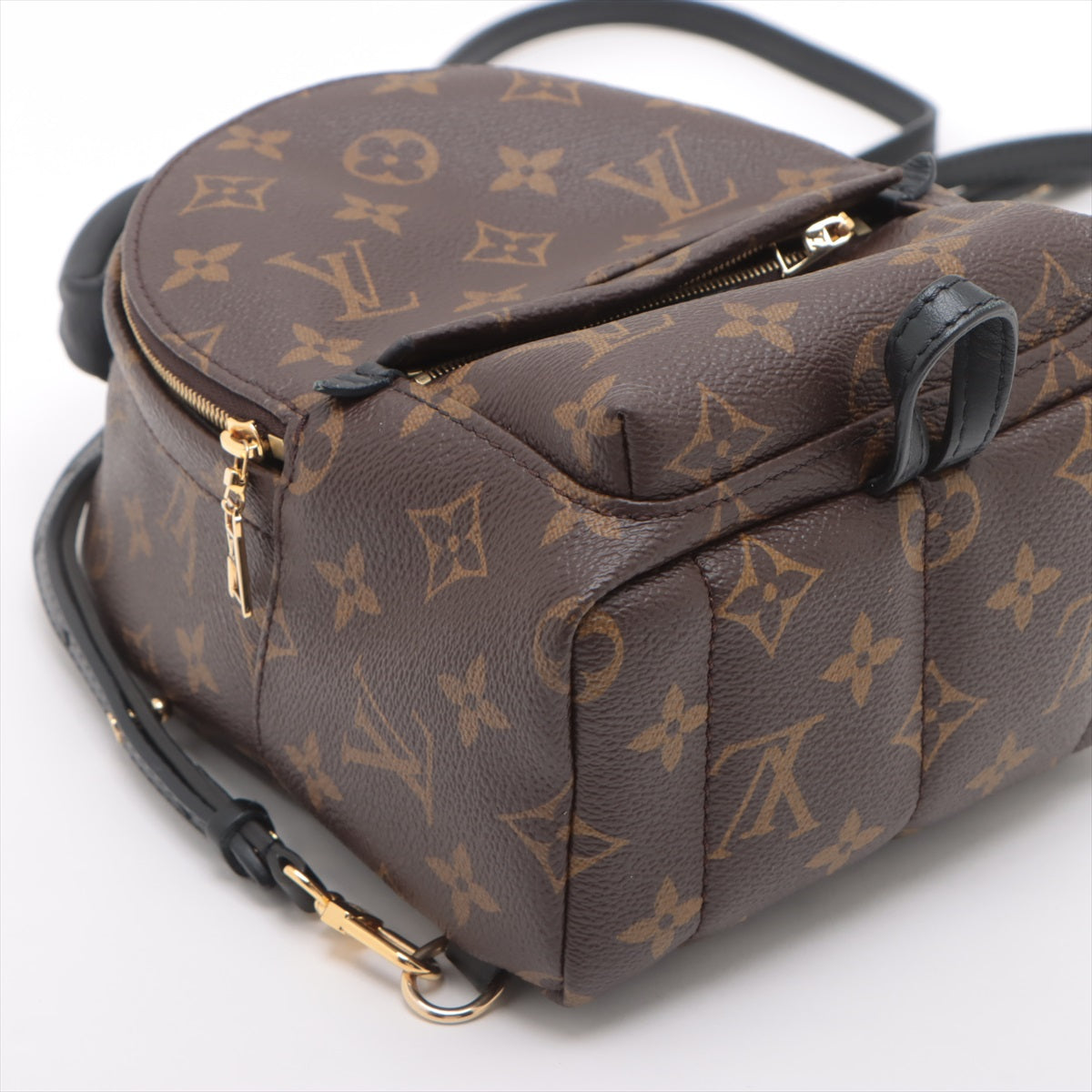 Best Seller Louis Vuitton Monogram Palm Springs Mini Backpack