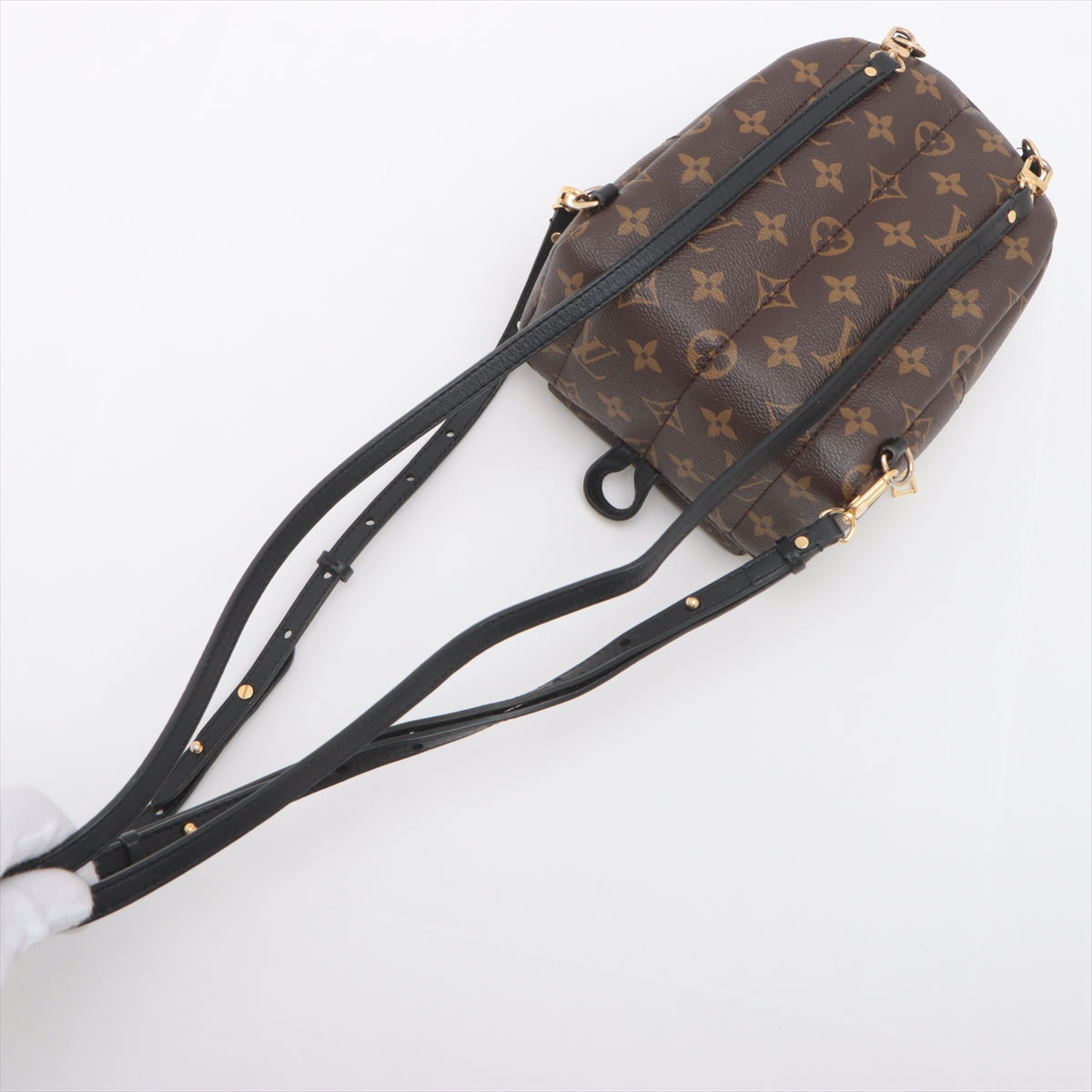 Top Louis Vuitton Monogram Palm Springs Mini Backpack