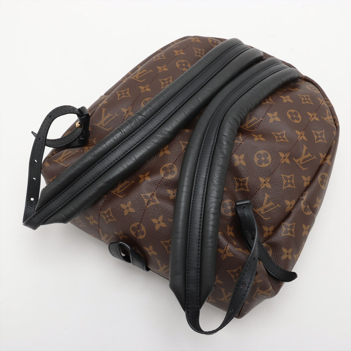 Top Louis Vuitton Monogram Palm Springs MM Backpack