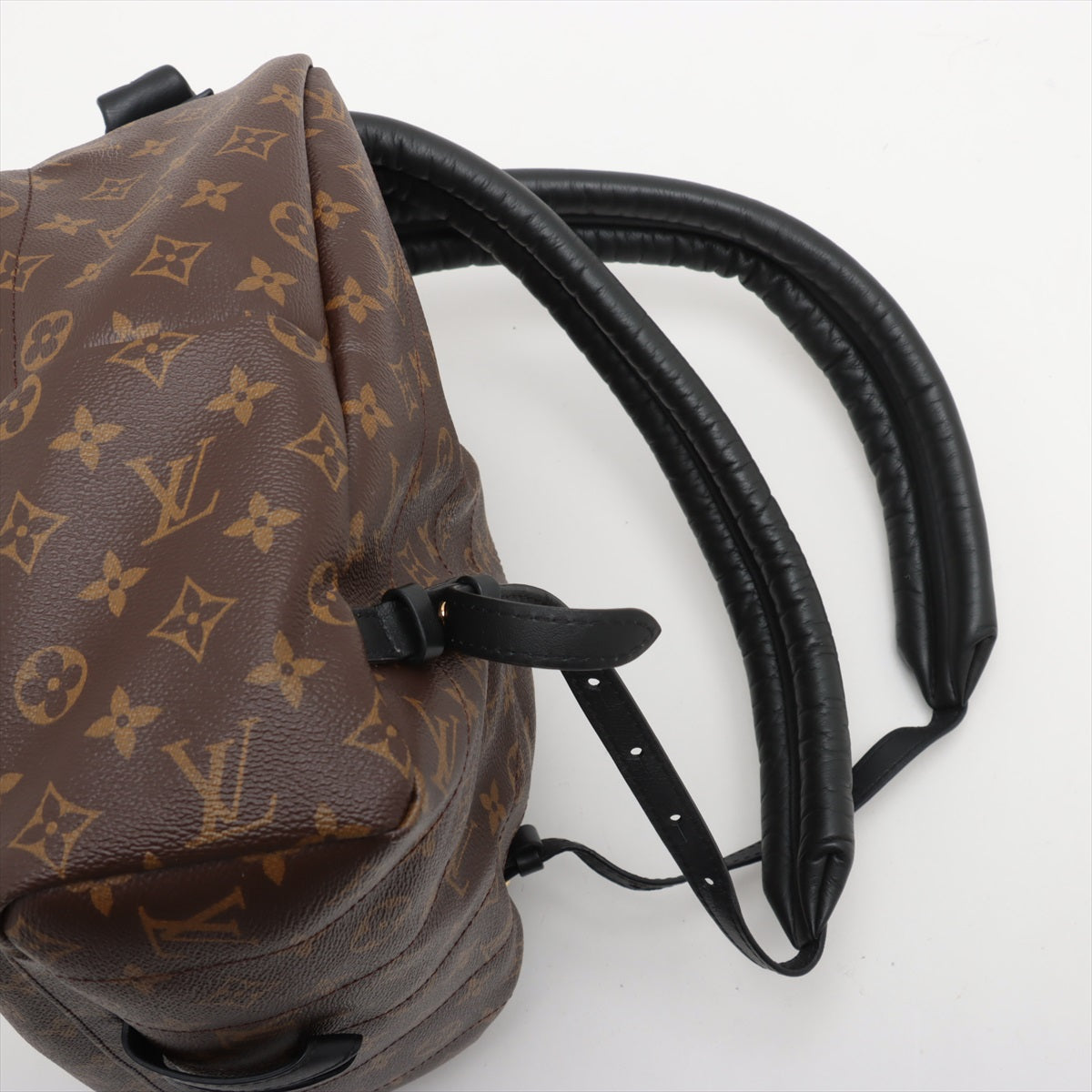 Branded Louis Vuitton Monogram Palm Springs MM Backpack