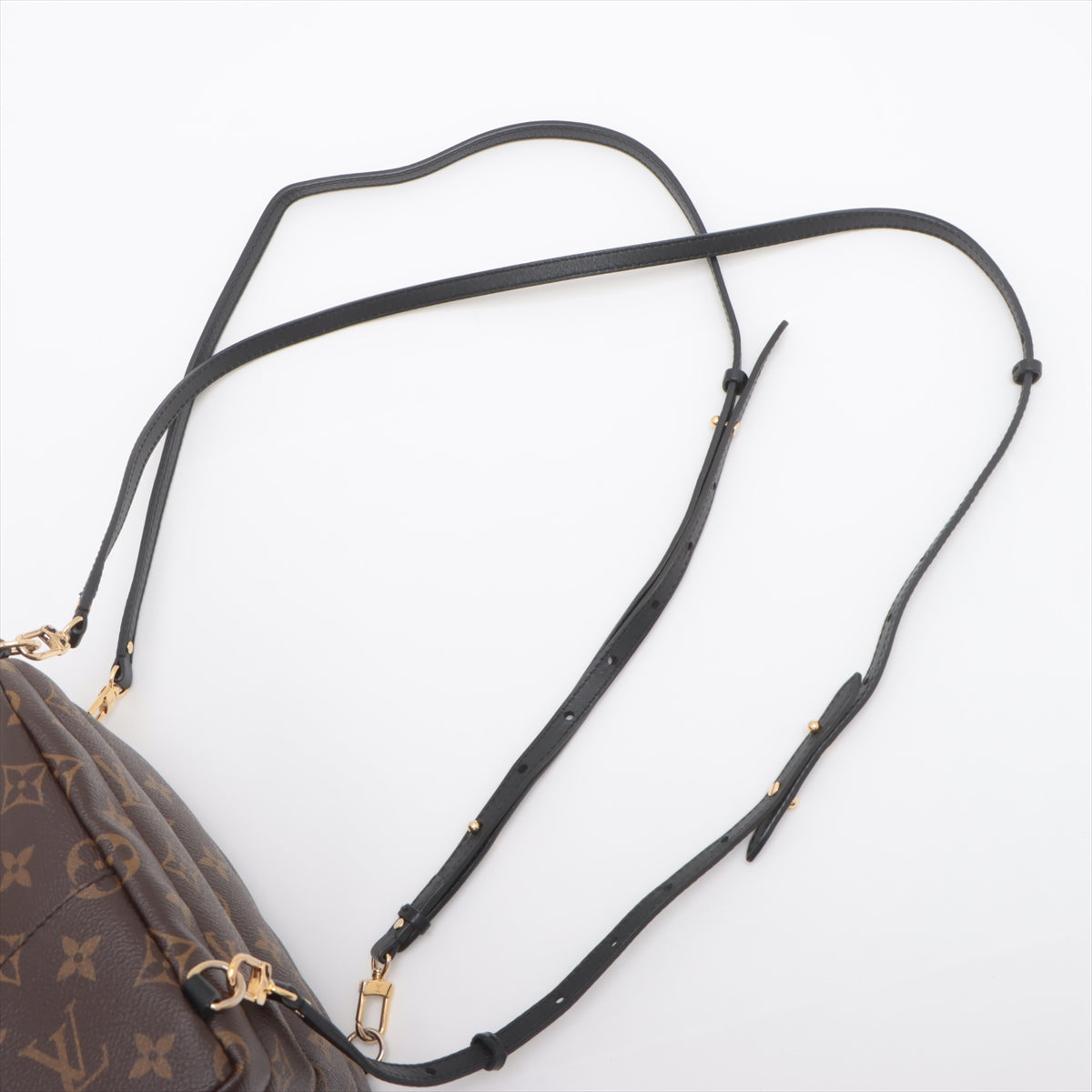 Branded Louis Vuitton Monogram Palm Springs Mini Backpack