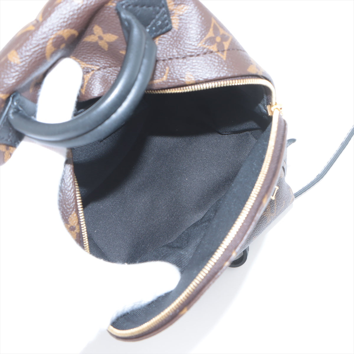 Designer Louis Vuitton Monogram Palm Springs Mini Backpack